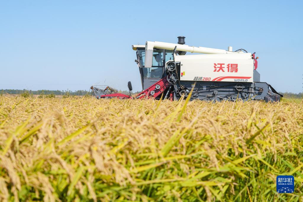 金沙平台大全